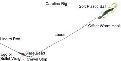 carolinarigwhite.jpg
