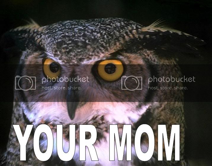 yourmomowl.jpg