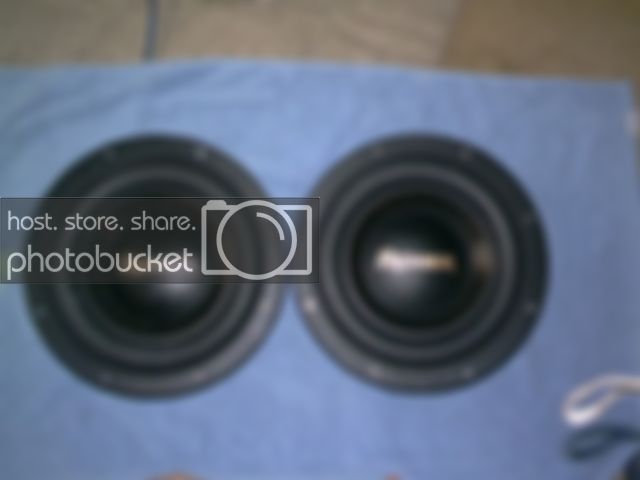IMAG0035.jpg