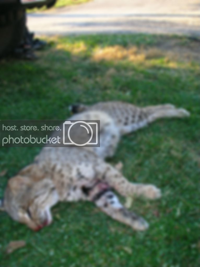 DSCN0428.jpg