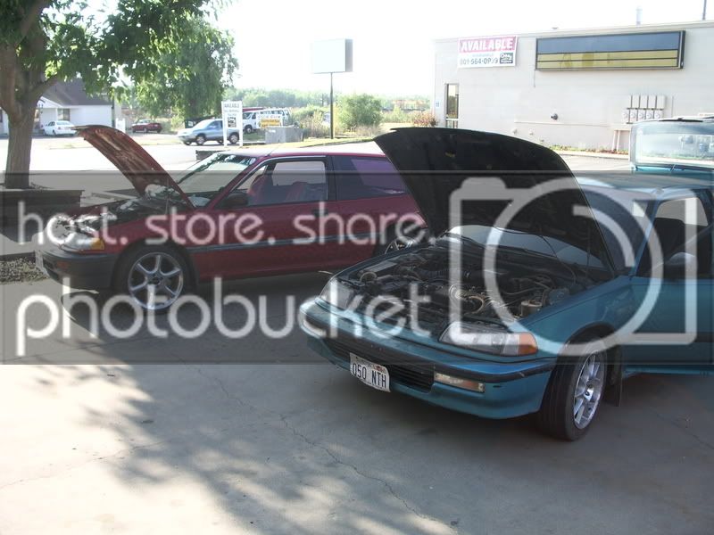 IMGP8215.jpg