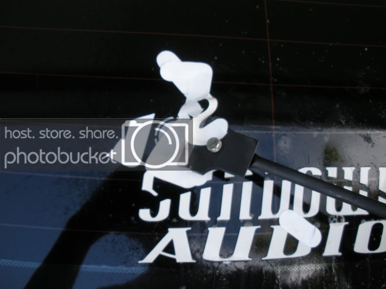DSCN0270.jpg