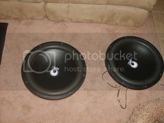SD530861.jpg