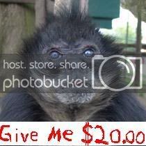 20bucks.jpg