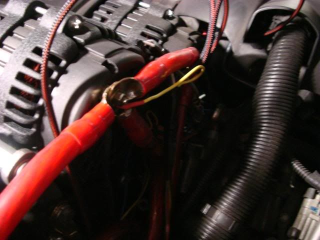DSC02243.jpg