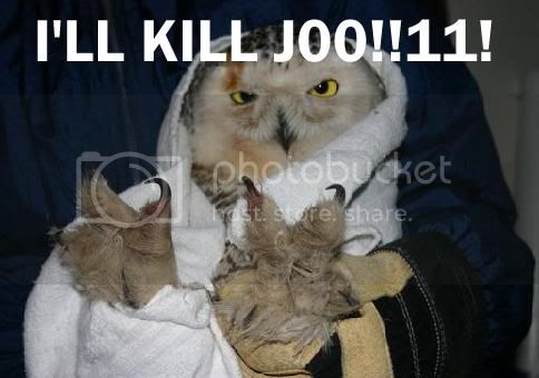 ikeeljoo.jpg