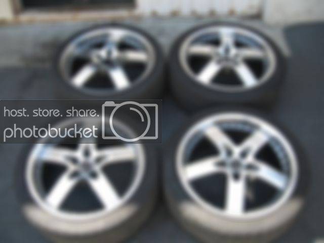 1156623337222_falken.jpg