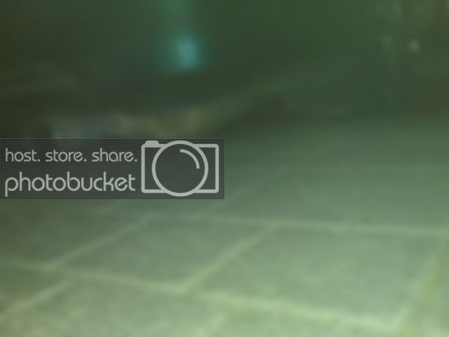 IMG00223.jpg