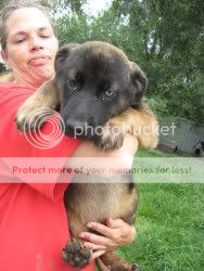 Teddymydog.jpg