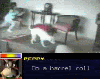 barrelroll.gif