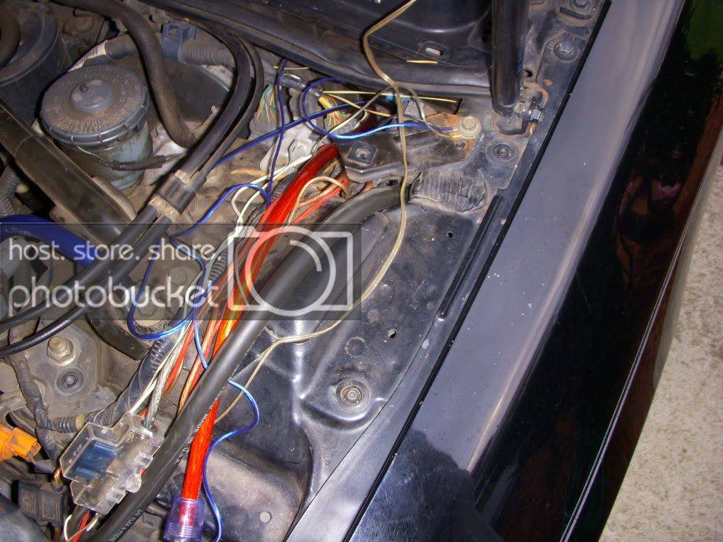 DSCN1595.jpg