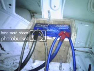 IMG00231.jpg