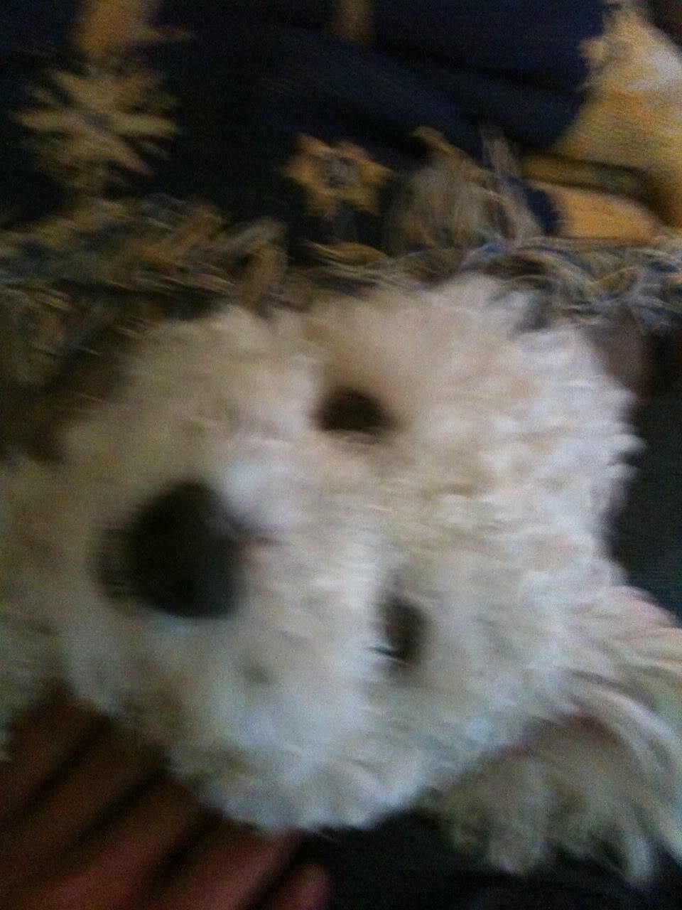 iPhoneUpload-5.jpg