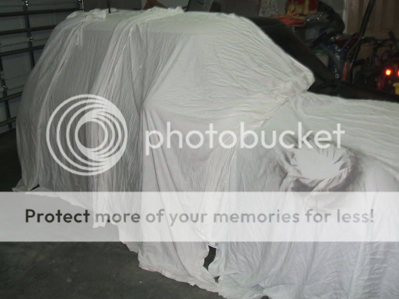 DSCF2084.jpg