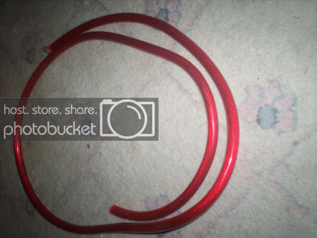 100_0226copy.jpg