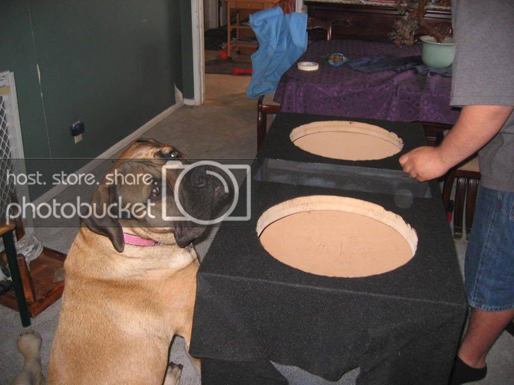 IMG_8490.jpg