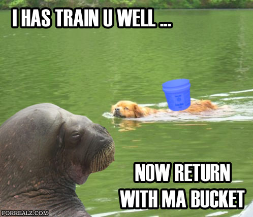 29-dog-has-bucket.jpg
