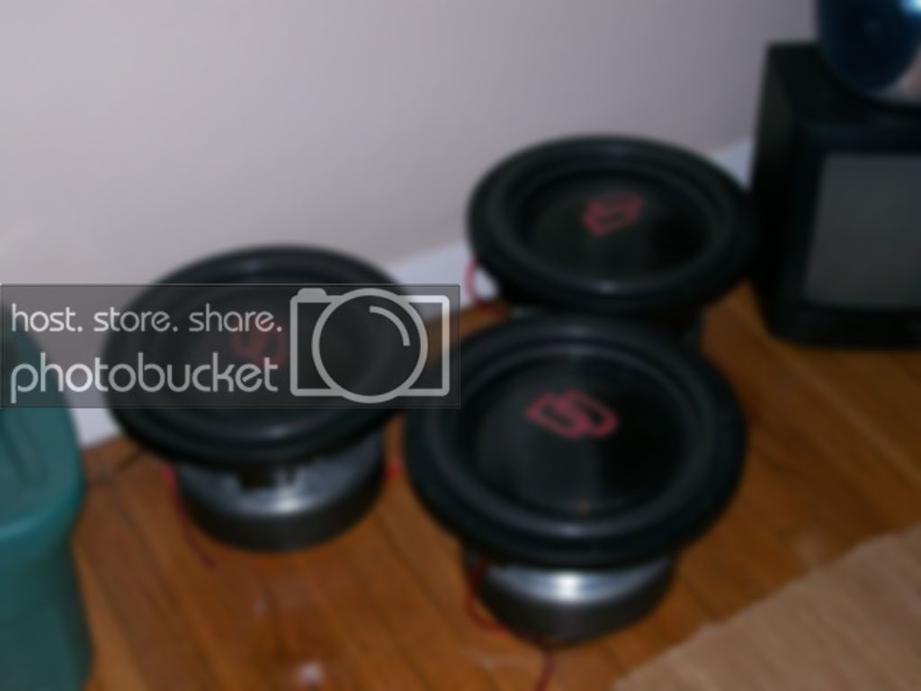 dd-1.jpg