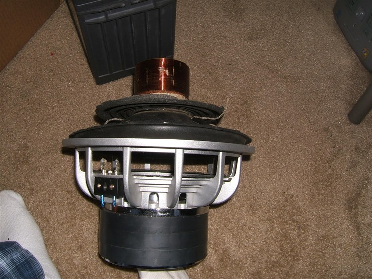 5203380468_large.jpg