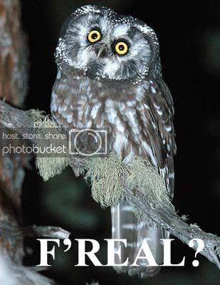 freal.jpg