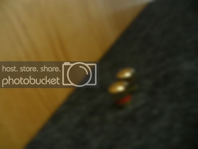 P1010418.jpg