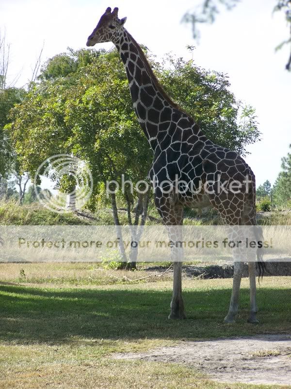 zoo042-1.jpg