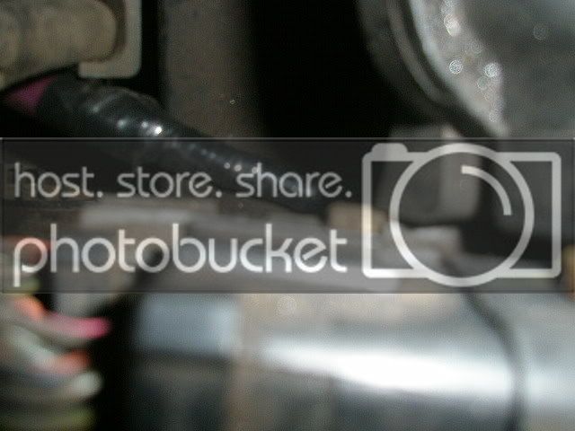 P7050522-1.jpg