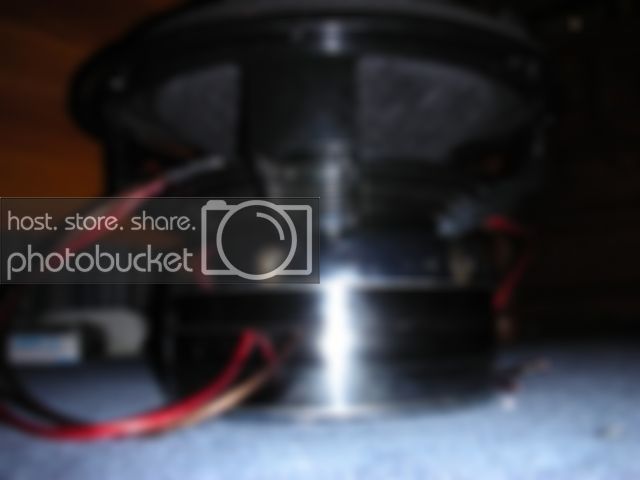 DSCN0937.jpg