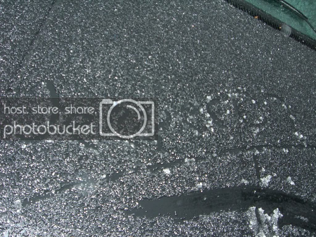 Picture017.jpg