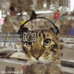 catheadphones.gif