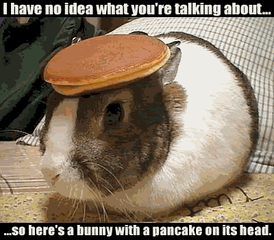 b7cf4d0f.gif