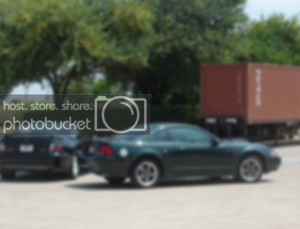 Copyofnewcars019.jpg