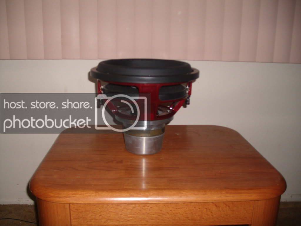 Collection295.jpg
