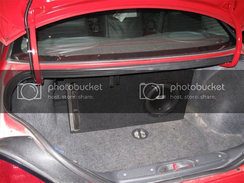trunk_jaim08.jpg