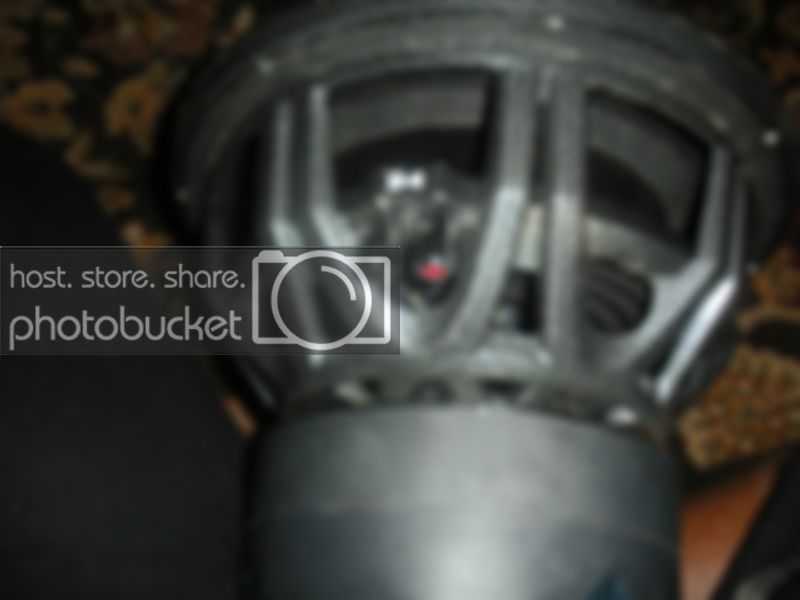 DSCN1780.jpg