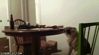 xBFwK.gif