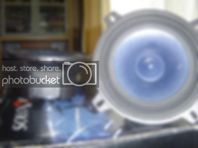 DSC00823.jpg