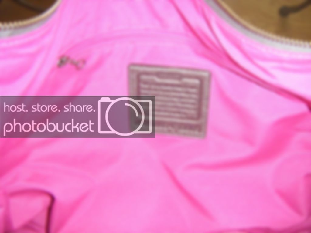 coachpurse003.jpg