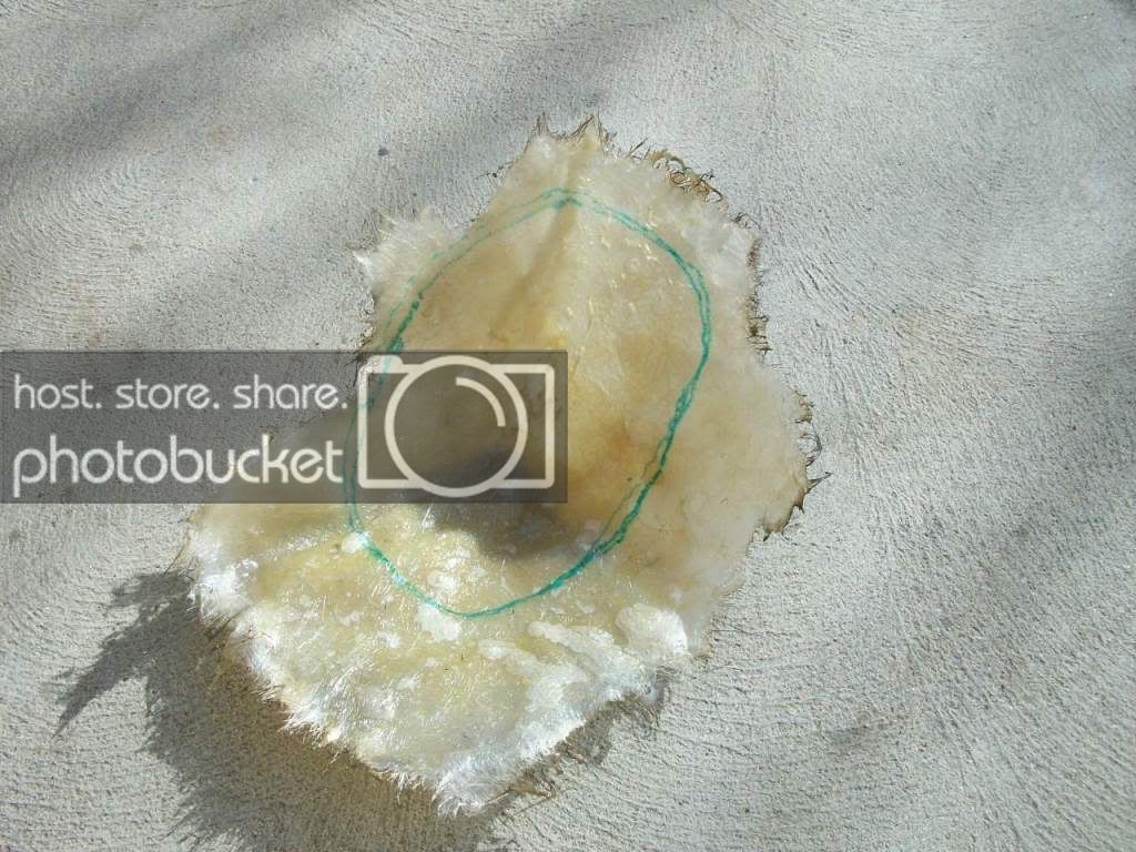 100_3439.jpg