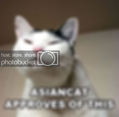 Asian_cat_approves.jpg