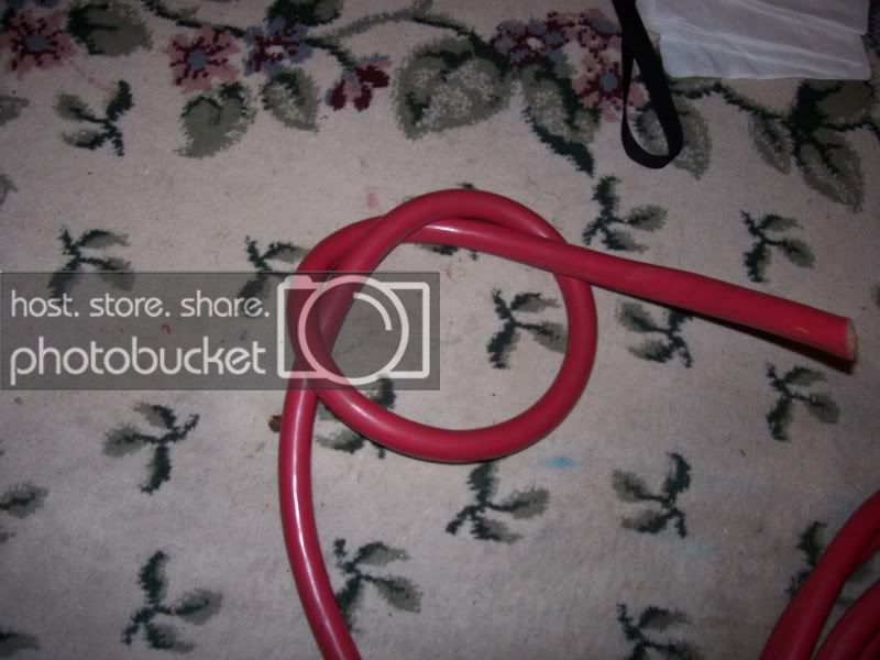 Picture061.jpg
