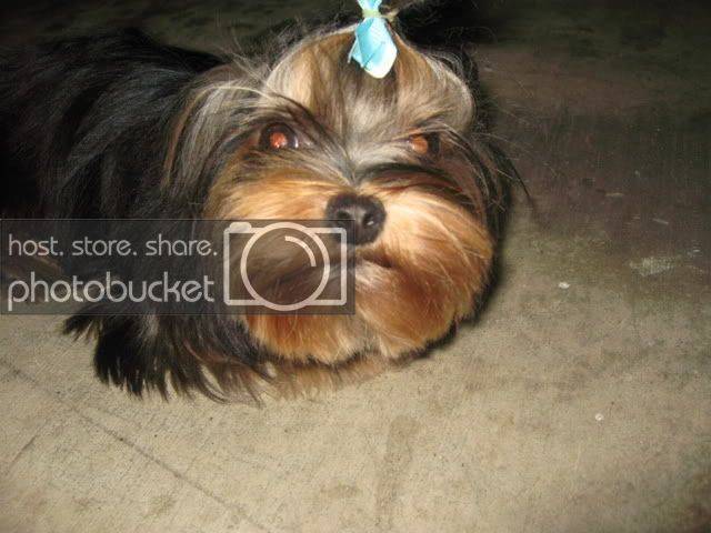 IMG_1727.jpg