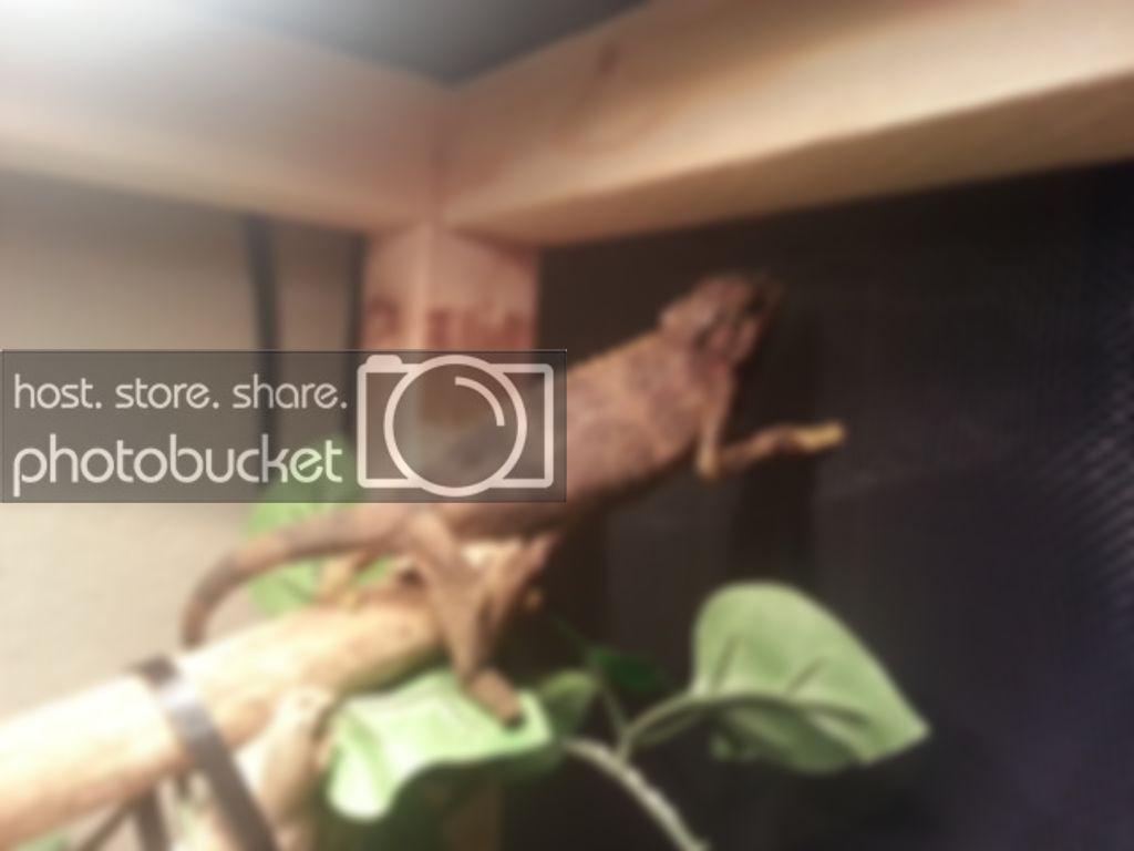 20121204_193202.jpg