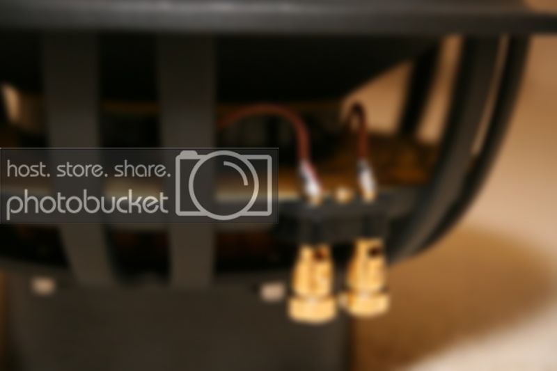 IMG_0020.jpg