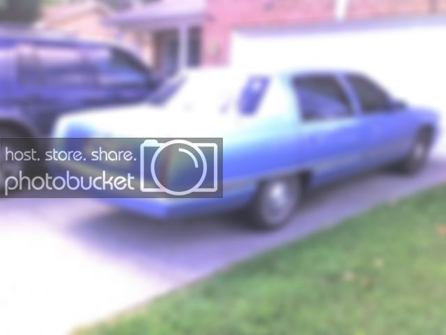 img043.jpg