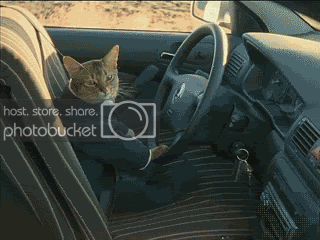 75567446.gif