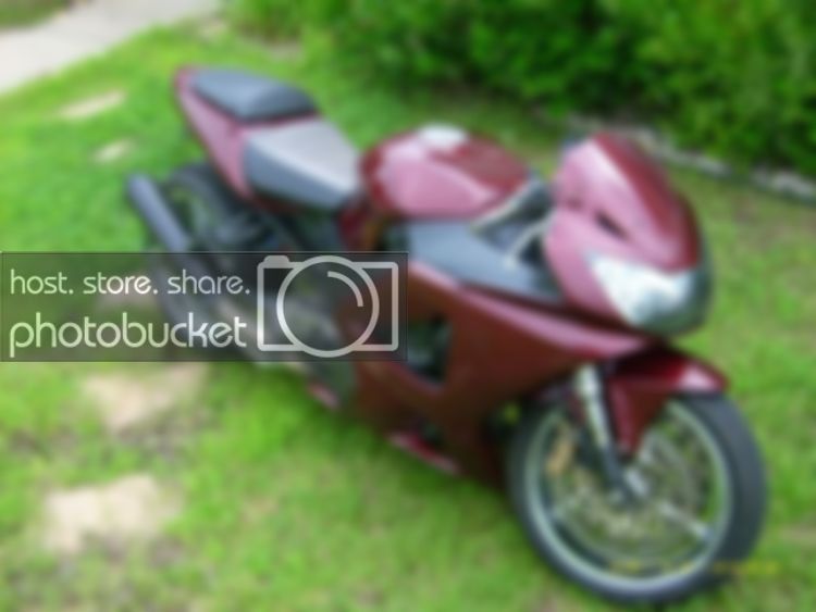 bikeshots2.jpg