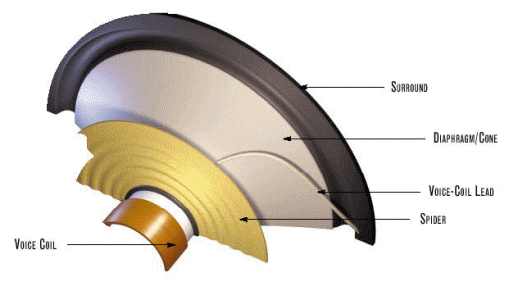 speaker-anatomy.gif