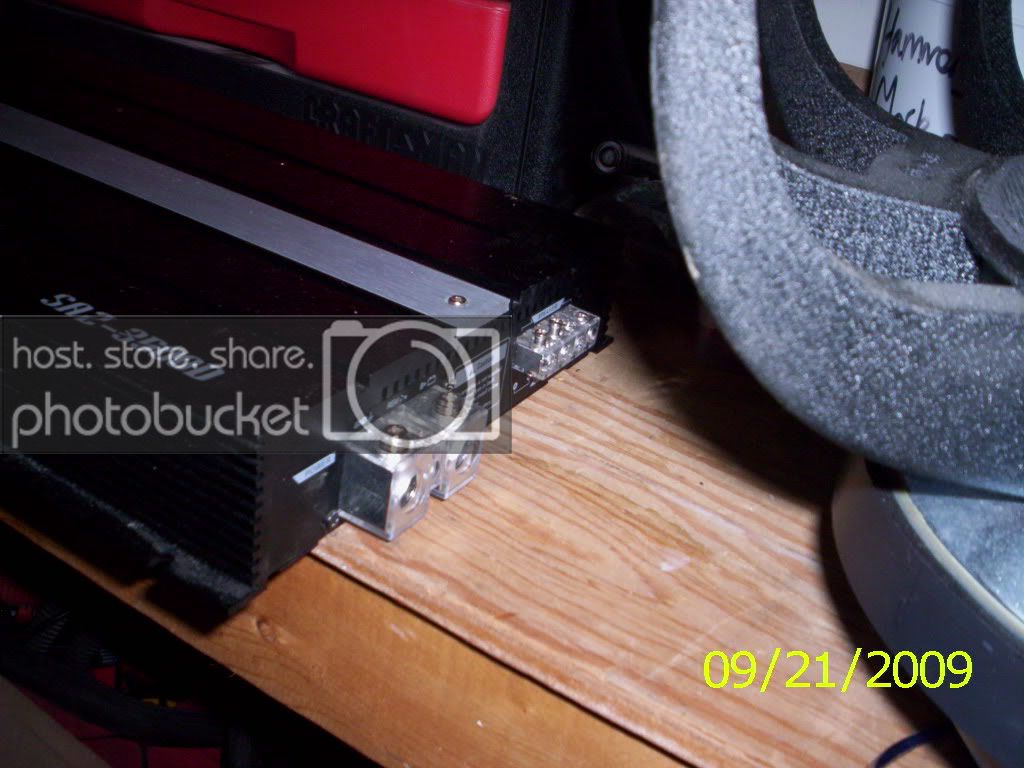 Picture005-11.jpg