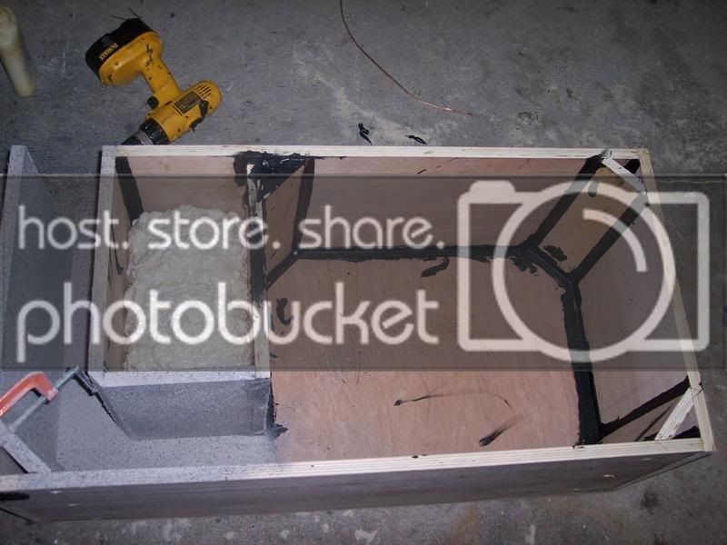 PictureorVideo036.jpg